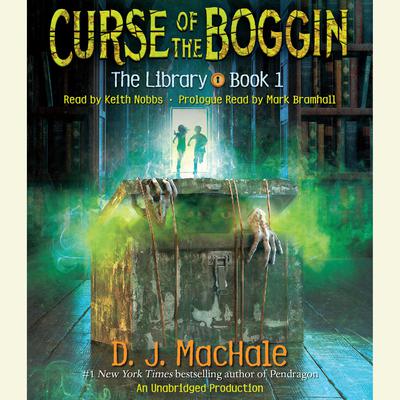 Curse of the Boggin by D. J. MacHale audiobook