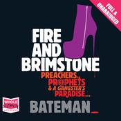 Fire and Brimstone by  Colin Bateman audiobook
