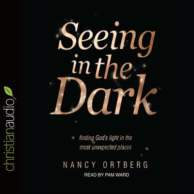 Seeing in the Dark by Nancy Ortberg audiobook