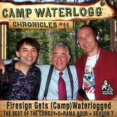 The Camp Waterlogg Chronicles 11 by Joe Bevilacqua audiobook