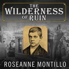 The Wilderness of Ruin by Roseanne Montillo audiobook