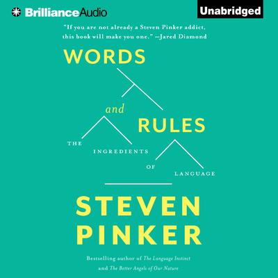 Words and Rules by Steven Pinker audiobook