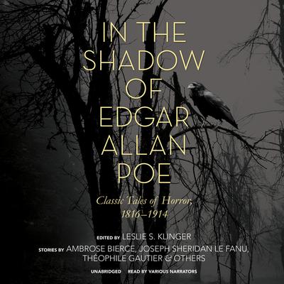 In the Shadow of Edgar Allan Poe by Leslie S. Klinger audiobook
