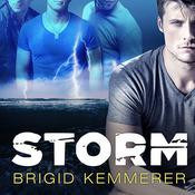 Storm by  Brigid Kemmerer audiobook