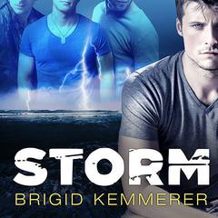 Storm by Brigid Kemmerer audiobook