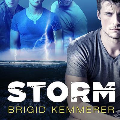 Storm by Brigid Kemmerer audiobook