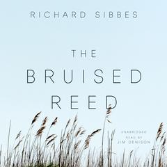 The Bruised Reed by Richard Sibbes audiobook