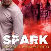 Spark by  Brigid Kemmerer audiobook