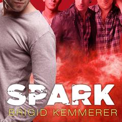 Spark by Brigid Kemmerer audiobook