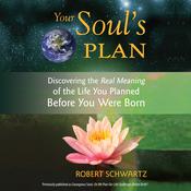 Your Soul's Plan by  Robert Schwartz audiobook