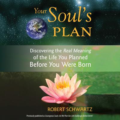 Your Soul's Plan by Robert Schwartz audiobook