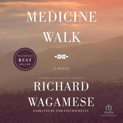 Medicine Walk by Richard Wagamese audiobook