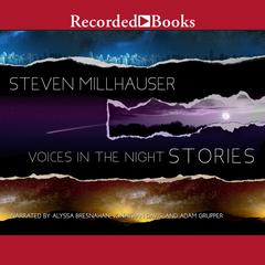 Voices in the Night by Steven Millhauser audiobook