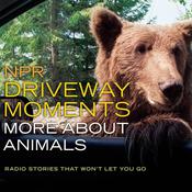 NPR Driveway Moments: More about Animals by  Christopher Joyce audiobook