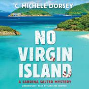 No Virgin Island by  C. Michele Dorsey audiobook