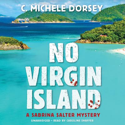 No Virgin Island by C. Michele Dorsey audiobook