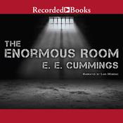 The Enormous Room by  E. E. Cummings audiobook