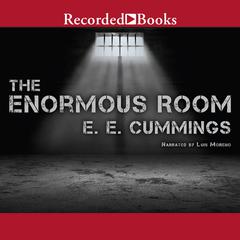 The Enormous Room by E. E. Cummings audiobook