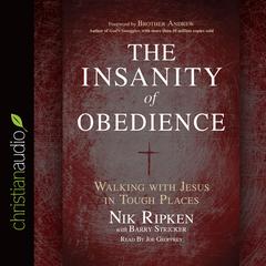 Insanity of Obedience by Nik Ripken audiobook