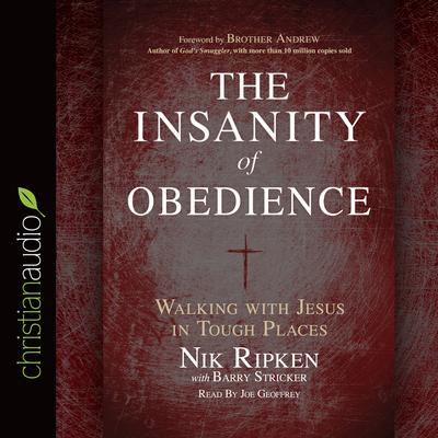 Insanity of Obedience by Nik Ripken audiobook