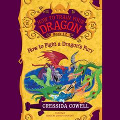 HOW TO FIGHT A DRAGON'S FURY by Cressida Cowell audiobook