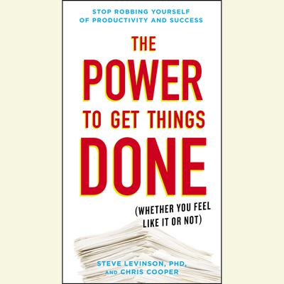 The Power to Get Things Done by Steve Levinson audiobook