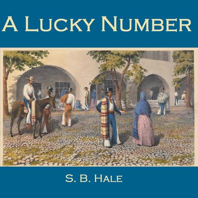 A Lucky Number by S. B. Hale audiobook