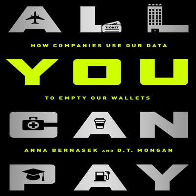 All You Can Pay by Anna Bernasek audiobook