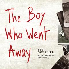 The Boy Who Went Away by Eli Gottlieb audiobook
