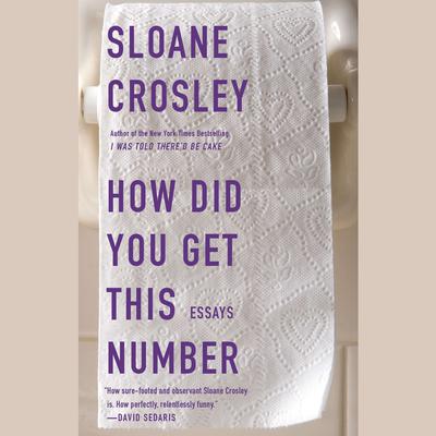How Did You Get This Number by Sloane Crosley audiobook