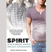 Spirit by  Brigid Kemmerer audiobook