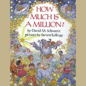 How Much Is a Million? by  David M. Schwartz audiobook
