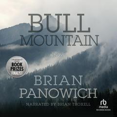 Bull Mountain by Brian Panowich audiobook
