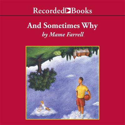 And Sometimes Why by Mame Farrell audiobook