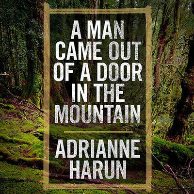 A Man Came Out of a Door in the Mountain by Adrianne Harun audiobook