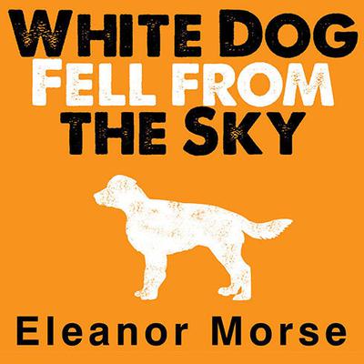 White Dog Fell from the Sky by Eleanor Morse audiobook