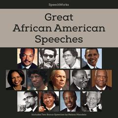 Great African American Speeches by Nelson Mandela audiobook