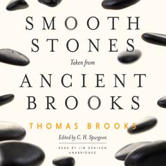 Smooth Stones Taken from Ancient Brooks by Thomas Brooks audiobook