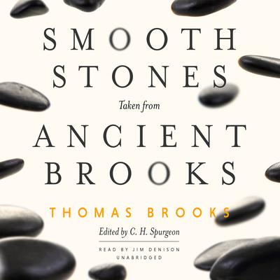 Smooth Stones Taken from Ancient Brooks by Thomas Brooks audiobook