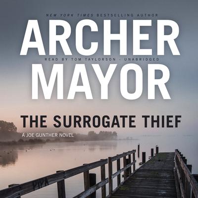 The Surrogate Thief by Archer Mayor audiobook