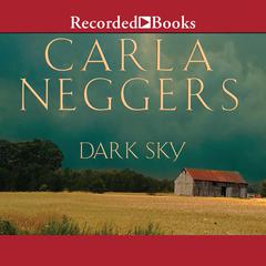 Dark Sky by Carla Neggers audiobook