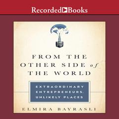 From the Other Side of the World by Elmira Bayrasli audiobook