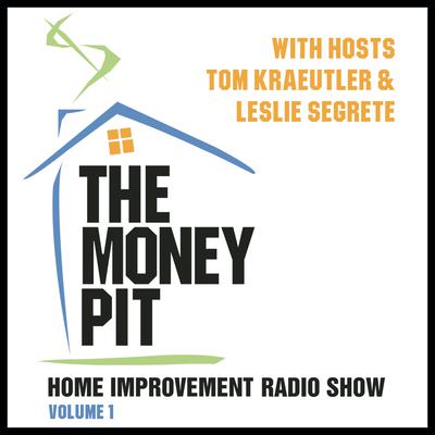 The Money Pit, Vol. 1 by Tom Kraeutler audiobook