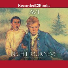 Night Journeys by Avi audiobook