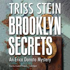 Brooklyn Secrets by Triss Stein audiobook