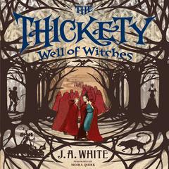 The Thickety #3: Well of Witches by J. A. White audiobook