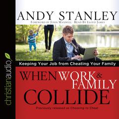 When Work and Family Collide by Andy Stanley audiobook