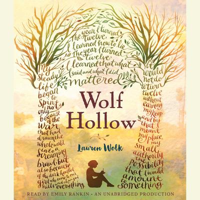 Wolf Hollow by Lauren Wolk audiobook