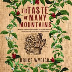 The Taste of Many Mountains by Bruce Wydick audiobook