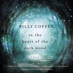 In the Heart of the Dark Wood by Billy Coffey audiobook